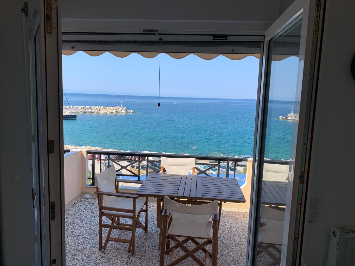 Elvetia Villa Potos Bagian luar foto